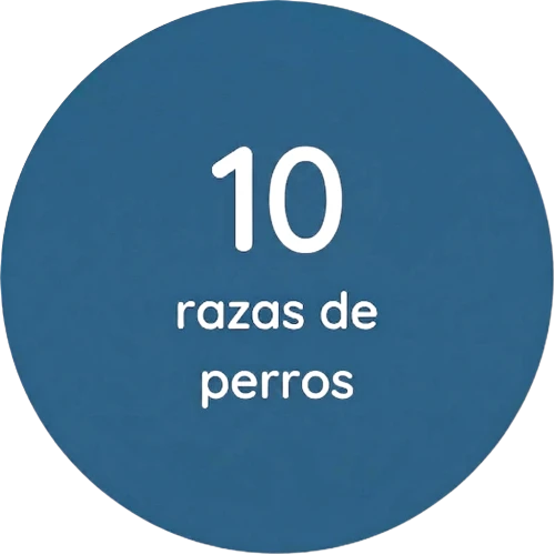 10 razas de perros